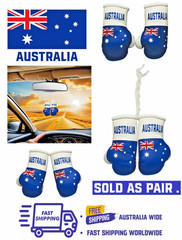 Souvenir, Ornament, World Countries Flags, Mini Boxing Gloves with Flag Designs