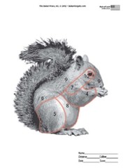 Box of 20 Sitting Squirrel 10 Meter Targets