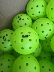 Lifetime LT Pro 48 Pickleball Balls (9 Balls) – New. Same Day/Next Day Shipping