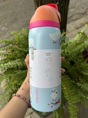 Owala Silly Goose Freesip 32oz Limited Edition Water Bottle With BOX | IN STOCK