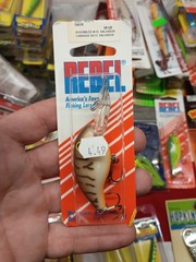 Rebel Deep Wee-R Striped Bass Crankbait Fishing Lure NOS Vintage
