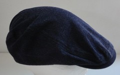 Levi’s Blue Ivy/News Boy/ Golf Hat Adult One Size