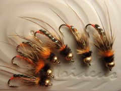 Irideus Timothy’s Orange Caddis Fall Steelhead Caddis Trout Fly Fishing Flies