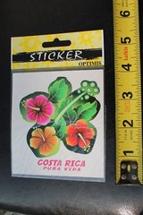 COSTA RICA Pura Vida Flower Flora Surfboard Rare Sealed Vintage Surfing STICKER