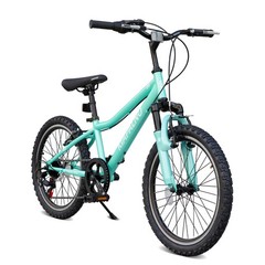 20 Inch Mountain Bike, 7-Speed Adult Dual-Suspension Mountain Bicycle Green