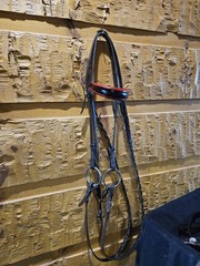 English Bridle With Reins And Snaffle Bit, Red And Black Browband