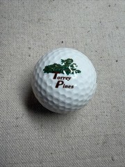 Wilson 432 Golf Ball Torrey Pines Golf Course Logo San Diego Vintage Collectible