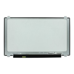 OEM 17.3 inch LCD Screen 1920×1080 MAT 30Pin EDP, IPS
