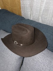 Stetson Brown Western Hat OSFM