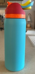Owala FreeSip 24 fl oz Insulated Stainless Water Bottle w/ Straw Flip Lock