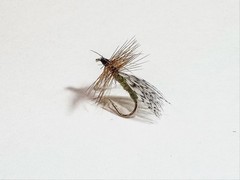 12 Partridge Spent Caddis Sizes 14 to 18 – Fly Fishing Flies
