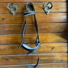 Full Black Cadence English Horseback Riding Dressage Snaffle Bridle With Flash