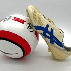 Size 5 Soccer Ball, Thermal Bonded Waterproof PU World Cup Quality League Match