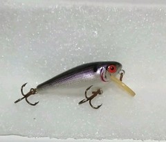 Cotton Cordell Shallow Wee CC Shad Vintage Crankbait Lure 1.75″ 1/9oz C1116 Shad