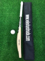 full size short handle sports cricket bat hands while playing Veles Cricket Bat