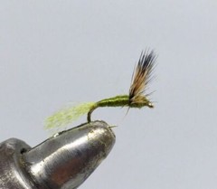 One Dozen (12) – Blue Winged Olive – Sparkle Dun – Dry Fly