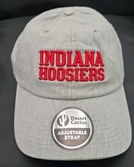Desert Cactus Indiana University Baseball Hat Hoosiers Bloomington Brimmed