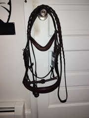 Full Size Anatomical Monocrown English Bridle NWT