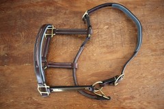 Hadfields Parade of Champions Bridle 09 Lake Placid Fancy Stitch