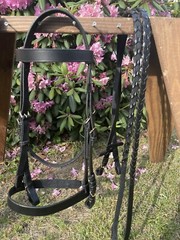 Leaders Leather Hunt Bridle For Full/Horse Size – W/leather Laced Reins!