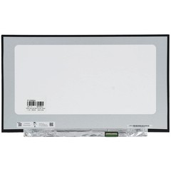 OEM 17.3 inch LCD screen 1920×1080 mat, 40pin, IPS, 120Hz