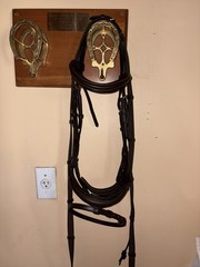 Kavalkade Ivy Padded Bridle Flash Noseband Brown w/Reins, Full/horse