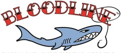 Bloodlinetackle 3 pack 5ft 400lb shark surf fishing leader w choice of hook size