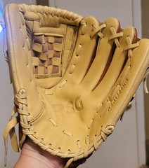 DSG 12 inch All Positions Fielding Glove Two-Tone Leather Right Hand Throw
