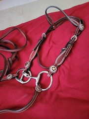 Leather Headstall, Korsteel 5 inch bit, and 8 ft split reins NEW!