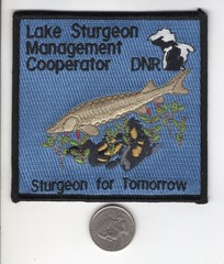 MICHIGAN DNR STURGEON PATCH- STURGEON FOR TOMORROW (1ST YEAR) – MICHIGAN DEER