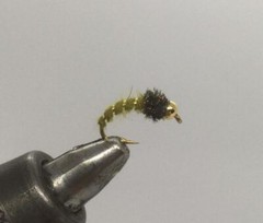 One Dozen (12) – Beadhead Caddis Larva – Olive – Nymph