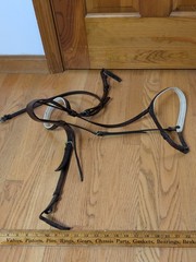 English Bridle Dark Brown Leather Padded Crown Horse Equestrian Tack