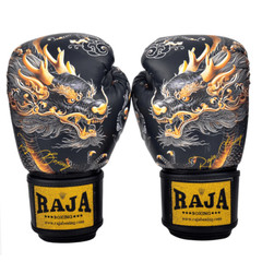 RAJA Gold Dragon Boxing Gloves Muay Thai Kickboxing MMA Training 6-18 oz