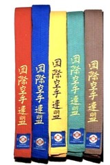 Martial Arts Belt | Taekwondo| Karate| Hapkido| TKD| Kyokushin| Solid Color Bel