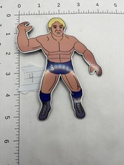 MAGNET: WWE wrestling WWF WCW Sgt Slaughter Warrior Hogan RIC FLAIR