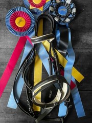 Classic Dressage Double Bridle Black White Trim English Leather Size WB O/S Show