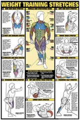 WEIGHT TRAINING STRETCHES Stretching Professional Fitness Club Gym 24×36 POSTER