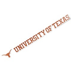 Desert Cactus University of Texas UT Longhorns Name 15 Inch, Multicolored