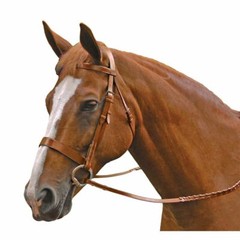 Exselle Elite Traditional Fox Hunt Bridle