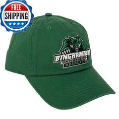 Desert Cactus Binghamton University Baseball Hat Bearcats Suny Brimmed