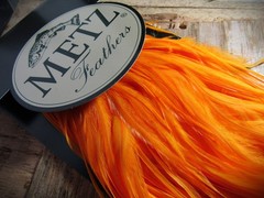 Metz Grade 2 half Orkney Peach Cock Saddle, hackle, Cape, Flat Wing