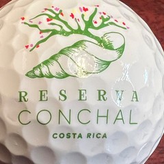 Reserva Conchal Costa Rica Golf Course Logo Srixon Golf Ball L-4-9