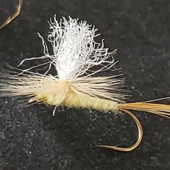 PARACHUTE PALE EVENING DUN SIZE 12 FISHING FLIES PED FRONTIER FLY COMPANY
