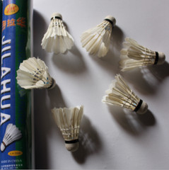 12pcs White Goose Feather Shuttlecocks Badminton Ball Sport Training Game Fans