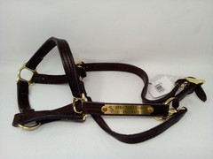 Perris 1″ Track T/O Halter with Snap Havanna PH APHA World Show Top Five Plaque