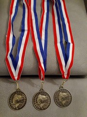 Lot Of 3 Fishing Angler Award Medals Bronze Tone