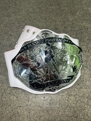 Fantasy Football champion championship title belt ffl Pink Strap
