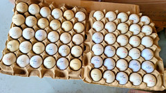 WAREHOUSE FIND 60 TITLEIST GOLF BALLS found in EGG CRATES