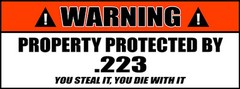 Warning Sign Stickers Property Protected by 223 CAL Ammo Can Decal 2 PACK 55