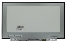 OEM 17.3 inch LCD Screen 1920×1080 Gloss 30pin EDP, IPS